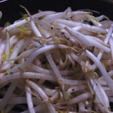 シリコンスチーム鍋で作る　モヤシのスパイス蒸